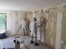 Best Post-Construction Mold Inspection  in Willow, AK